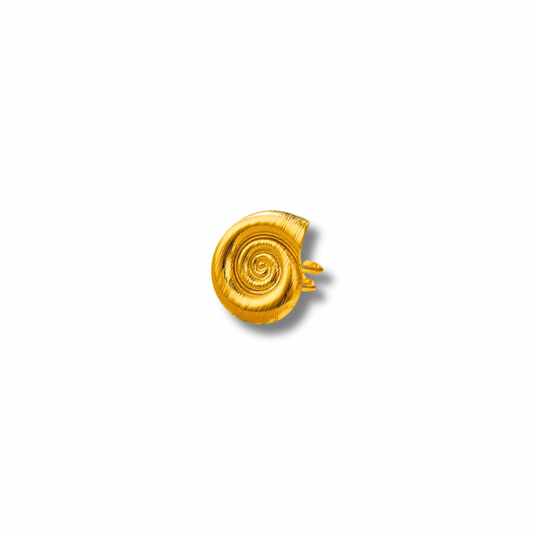 MINI SPIRAL OF SEA RING GOLDEN ECHO